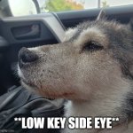Low Key Side Eye | **LOW KEY SIDE EYE** | image tagged in the side eye you give | made w/ Imgflip meme maker