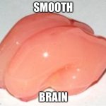 Smooth Brain | SMOOTH; BRAIN | image tagged in smooth brain | made w/ Imgflip meme maker