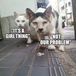 Tomcats | PRO-ABORTION GUYS; "IT'S A GIRL THING"; "NOT OUR PROBLEM" | image tagged in tomcats | made w/ Imgflip meme maker