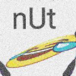 Nut Dog