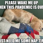 Sleeping pup | PLEASE WAKE ME UP WHEN THIS PANDEMIC IS OVER! I JUST NEED ME SOME NAP TIME. | image tagged in sleeping pup | made w/ Imgflip meme maker