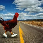 chicken crossing road