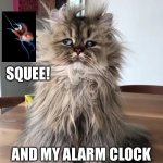 Monday Mornings | WHEN I WAKE UP; SQUEE! AND MY ALARM CLOCK WAS SET TO “SQUEE!!!” | image tagged in monday mornings | made w/ Imgflip meme maker