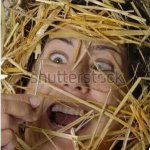Hay Stack Needle