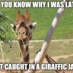 Giraffe | DO YOU KNOW WHY I WAS LATE? GOT CAUGHT IN A GIRAFFIC JAM! | image tagged in smiling giraffe | made w/ Imgflip meme maker