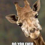 Giraffe  | DO YOU EVER DREAM ABOUT GIRAFFES? | image tagged in giraffe | made w/ Imgflip meme maker