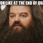 Hagrid | WHAT I LOOK LIKE AT THE END OF QUARANTINE | image tagged in hagrid | made w/ Imgflip meme maker
