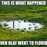 Olaf became a puddle. | THIS IS WHAT HAPPENED; WHEN OLAF WENT TO FLORIDA. | image tagged in puddle-flood | made w/ Imgflip meme maker
