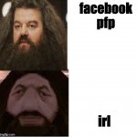 Hagrid | facebook pfp; irl | image tagged in hagrid comparison | made w/ Imgflip meme maker