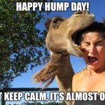 hump day | HAPPY HUMP DAY! JUST KEEP CALM, IT’S ALMOST OVER. | image tagged in hump day | made w/ Imgflip meme maker