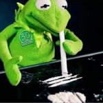 kermit snorts