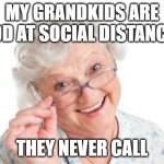 Grandma that's nice cool story bro | MY GRANDKIDS ARE GOOD AT SOCIAL DISTANCING; THEY NEVER CALL | image tagged in grandma that's nice cool story bro | made w/ Imgflip meme maker