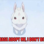 Re:Zero season 2 bunny | "PLEASE ADOPT ME, I DON'T BITE." | image tagged in re zero season 2 bunny | made w/ Imgflip meme maker