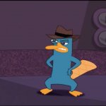 Perry the Platypus Weird Look