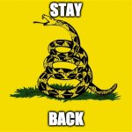 Snake | STAY; BACK | image tagged in dont tread on me | made w/ Imgflip meme maker