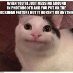 Polite Cat | WHEN YOU'RE JUST MESSING AROUND IN PHOTOBOOTH AND YOU PUT ON THE BLOCKHEAD FEATURE BUT IT DOESN'T DO ANYTHING | image tagged in polite cat | made w/ Imgflip meme maker