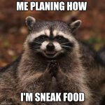 plans always work | ME PLANING HOW; I'M SNEAK FOOD | image tagged in sneaky coon | made w/ Imgflip meme maker