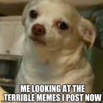 Disappointed Doggo | ME LOOKING AT THE TERRIBLE MEMES I POST NOW | image tagged in disappointed doggo | made w/ Imgflip meme maker
