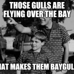Father and son | THOSE GULLS ARE FLYING OVER THE BAY; THAT MAKES THEM BAYGULLS | image tagged in father and son | made w/ Imgflip meme maker