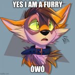 Furry | YES I AM A FURRY; ÒWÓ | image tagged in furry art | made w/ Imgflip meme maker