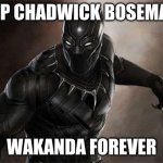 Black Panther | RIP CHADWICK BOSEMAN; WAKANDA FOREVER | image tagged in black panther,sad,rip,2020,memes | made w/ Imgflip meme maker