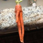 Carrot Porn