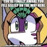 Echo the Dolphin | YOU'RE FINALLY AWAKE.YOU FELL ASLEEP ON THE WAY HERE. METAL VIRUS? ZOMBOTS? THEY GOT CHARMY AND VECTOR? WHAT ARE YOU TALKING ABOUT? YOU'RE SUPPOSED TO HELP ME FIND PRINCESS UNDINA! | image tagged in echo the dolphin | made w/ Imgflip meme maker