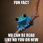 In my opinion | FUN FACT; NU CAN BE READ LIKE NO YOU OR NEW | image tagged in fun fact frog | made w/ Imgflip meme maker