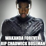 Tribute to Chadwick Boseman | WAKANDA FOREVER; RIP CHADWICK BOSEMAN
1976-2020 | image tagged in chadwick boseman,black panther,rip,avengers | made w/ Imgflip meme maker