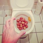 Toilet Eggs