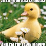TO CUTE | 2020 YOUR ASS IS GRASS; AND I'M THE LAWN MOWER | image tagged in duck flowers cute,memes,funny,cute | made w/ Imgflip meme maker