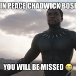 Black Panther Spotlight | REST IN PEACE CHADWICK BOSEMAN; YOU WILL BE MISSED 😭 | image tagged in black panther spotlight,memes,avengers | made w/ Imgflip meme maker