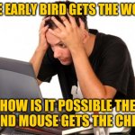 When figures of speech go awry.... | IF THE EARLY BIRD GETS THE WORM... HOW IS IT POSSIBLE THE SECOND MOUSE GETS THE CHEESE? | image tagged in desperate-student,language | made w/ Imgflip meme maker