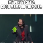 True story | ME WHEN I SEE A GOOD MEME ON THIS SITE:; YOUR BREATH TAKING! | image tagged in your breathtaking | made w/ Imgflip meme maker