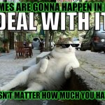 Memes are gonna happen all the time in life so u might as well learn it now and get over it | MEMES ARE GONNA HAPPEN IN LIFE DOESN'T MATTER HOW MUCH YOU HATE IT | image tagged in deal with it cat,memes,deal with it | made w/ Imgflip meme maker