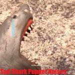 shark puppet is sad