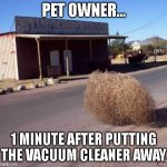 Pet Owner Woes | PET OWNER... 1 MINUTE AFTER PUTTING THE VACUUM CLEANER AWAY | image tagged in tumbleweed,pets,furry,dogs an cats | made w/ Imgflip meme maker