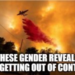 Gender Reveal | THESE GENDER REVEALS ARE GETTING OUT OF CONTROL | image tagged in pink,gender reveal | made w/ Imgflip meme maker