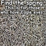 spring | Find the spring. This is for those who have Eagle eyes. | image tagged in spring | made w/ Imgflip meme maker