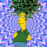 sideshow bob | image tagged in sideshow bob,cartoon,cannabis,weed,simpsons,hair | made w/ Imgflip meme maker