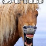 bitch please - horse | WHAT DO YOU CALL A HORSE THAT SAYS, "NO." TO RIDING? A NEIGH-SAYER. | image tagged in bitch please - horse | made w/ Imgflip meme maker