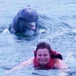 Woman swimming from dolphin