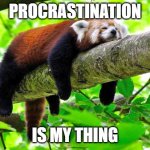 Procrastination | PROCRASTINATION; IS MY THING | image tagged in procrastination | made w/ Imgflip meme maker