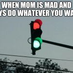 red and green lights on | WHEN MOM IS MAD AND SAYS DO WHATEVER YOU WANT | image tagged in red and green lights on | made w/ Imgflip meme maker