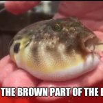 Puffer barf | EATING THE BROWN PART OF THE BANANA | image tagged in puffer barf | made w/ Imgflip meme maker