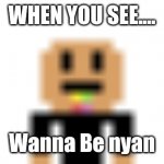 Wanna Be Nyan | WHEN YOU SEE.... Wanna Be nyan | image tagged in wanna be nyan | made w/ Imgflip meme maker