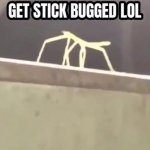 Stick Bugged meme