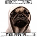 pug life | I DRANK OUT OF ZE; BIG WHITE BOWL TODAYZ | image tagged in pug life | made w/ Imgflip meme maker