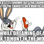 bugs bunny | IT'S A LITTLE KNOWN FACT THAT BUNNIES ATE MOST OF THE CARROTS ON A MONTH-LONG TRIP; WHILE DREAMING OF A DUCK TO HUNT IN THE WOODS | image tagged in bugs bunny | made w/ Imgflip meme maker