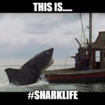 Jaws Boat | THIS IS..... #SHARKLIFE | image tagged in jaws boat | made w/ Imgflip meme maker